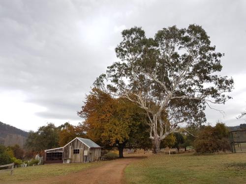 Jamieson Valley Retreat