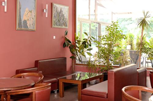 佐拉家庭藝術酒店 (Family Art-Hotel Zora) in 弗拉察