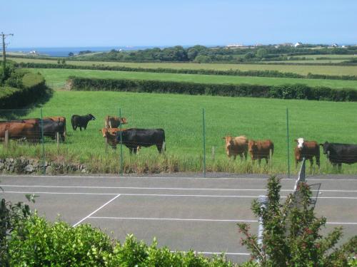 Tregaddra Farm B&B