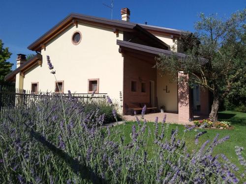  “Al Campo” in Verona