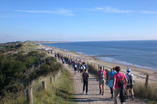 Beach Hotel I Kloeg Collection - image 8