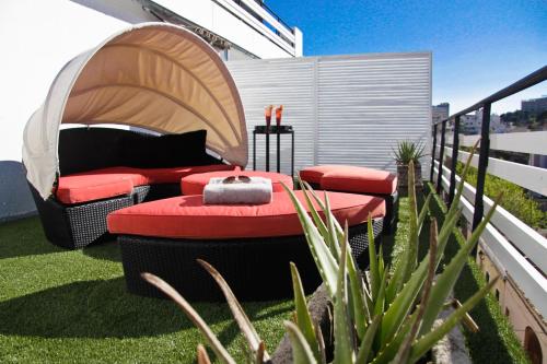 Hotel Feliz - image 8