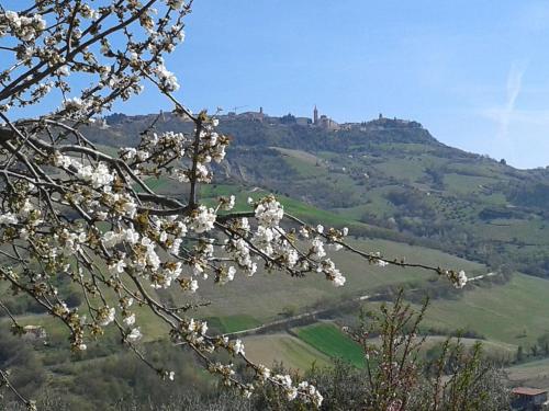 IL Podere del nonno – Ripatransone, MO