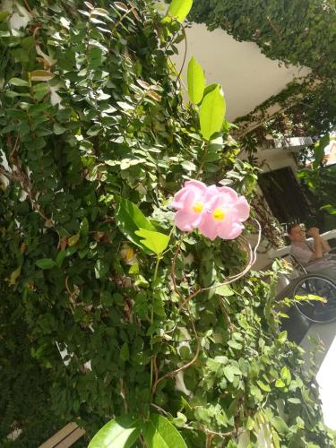 Villa Carolina Bed and Breakfast – Puerto Plata, SD