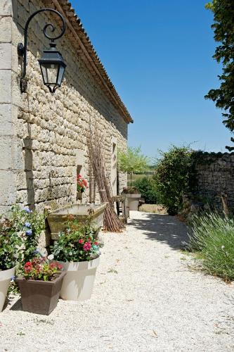 Domaine de L'Isle Basse - image 10