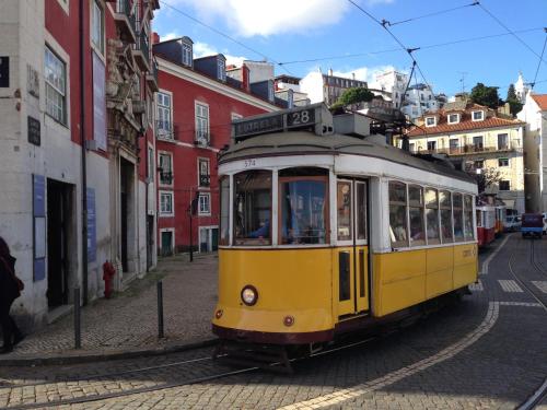Go Native Lisbon - Principe Real - image 4