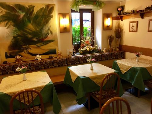 Albergo Meuble Tarandan in Forni Di Sopra
