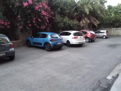B&B Al Calopinace