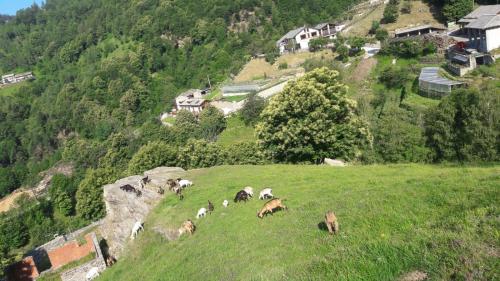 Agriturismo Fiorendo