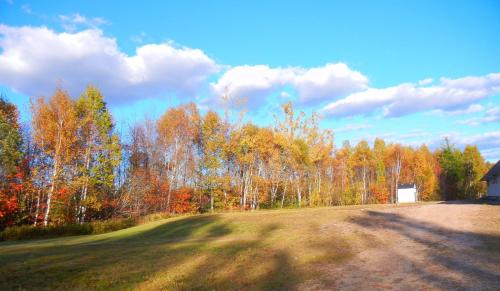 Shores of Deer Lake