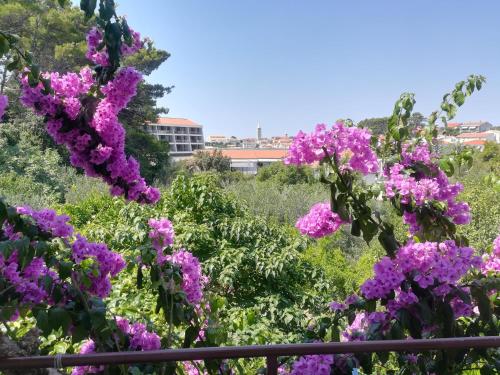  Alemka Pende, Unterkunft in Rab