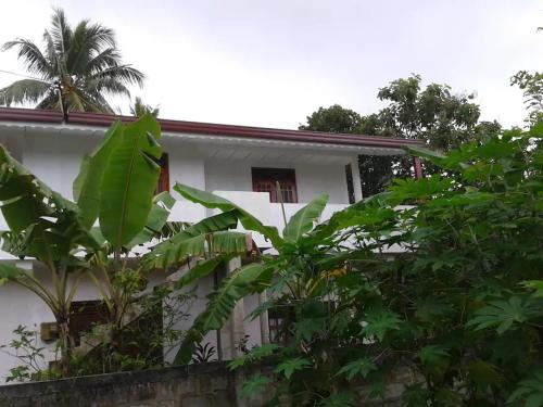 Ishitha Homestay Tangalle