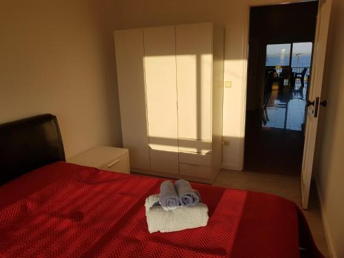  Mikes River Apartment in Torreira