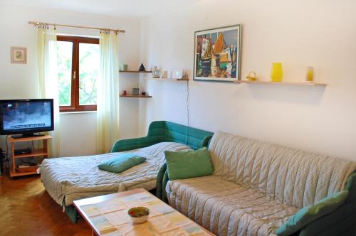 Apartment Branko
