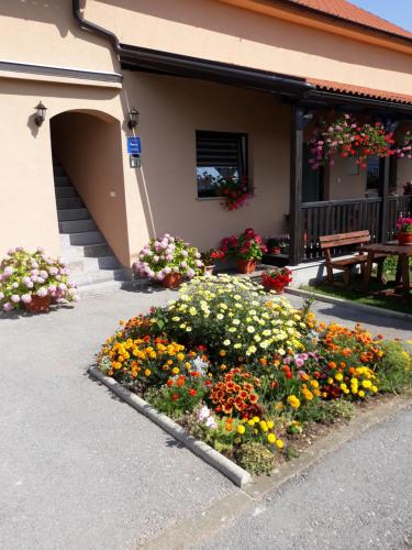 Guest House Vana 2