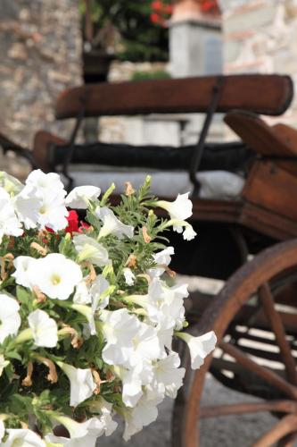 Agriturismo Il Calesse