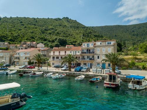 Divna Apartments and Rooms - Location saisonnière - Račišće