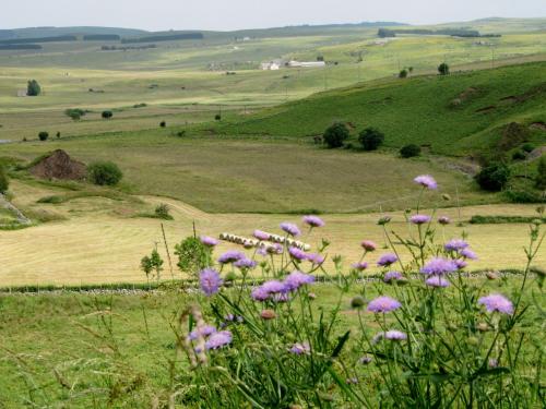 Logis Hotel Des Rochers - image 12