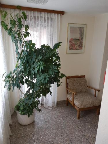 Hotel Central - image 6
