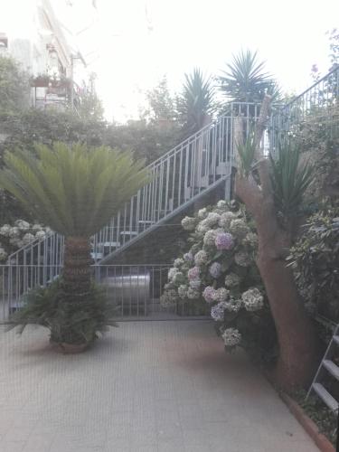  il cortile in Ravello