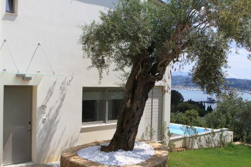 Rodostamo Hotel & Spa- Adults Friendly - image 11
