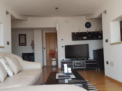  Apartment RAŽMAN in Buje