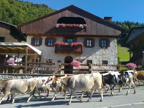Accommodation in Friuli Venezia Giulia