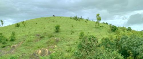 Vagamon Clouds