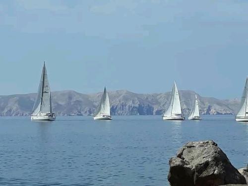  Apartman Domo in Senj