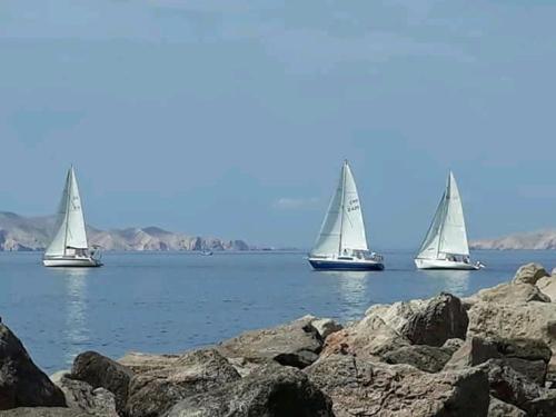  Apartman Domo in Senj