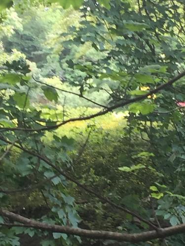 JustB Edinburgh Retreat - image 8