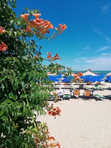 Appartamento Alba Rosa