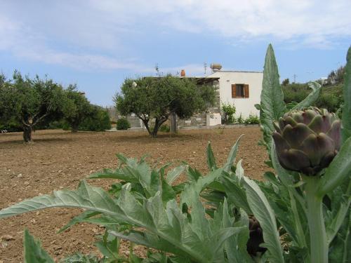 Marcello Country Houses