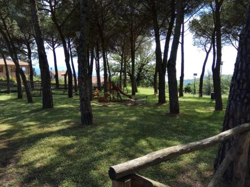 Umbria vista lago Trasimeno