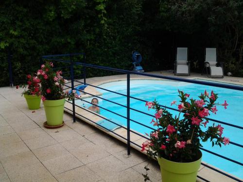 Les Roseaux