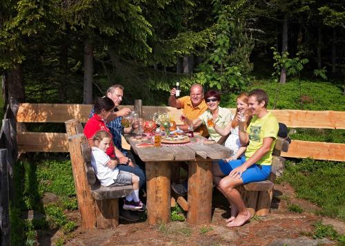 Almhütte in Kärnten