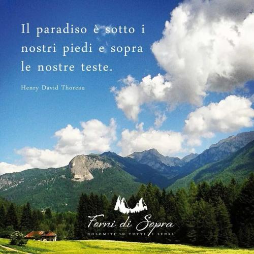 Albergo Meuble Tarandan in Forni Di Sopra