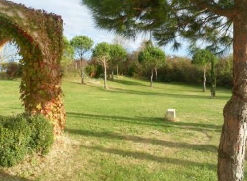 Domaine des Pins