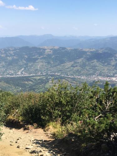 Vila Victoria - image 5