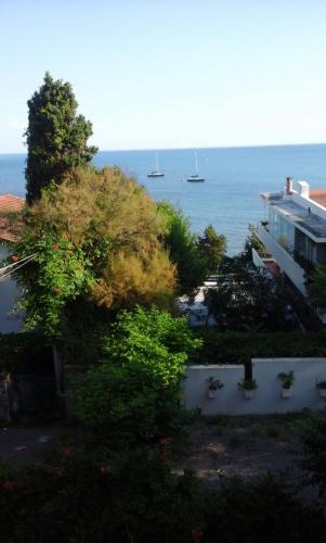 Hotel Costa Verde - image 4
