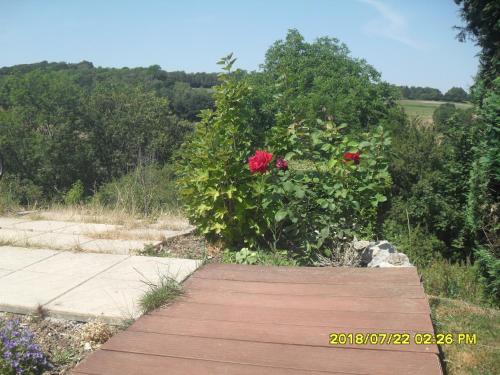  Cat et Patou in 4870 Au Thier