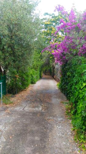  Casa dell'Oleandro in Torre Faro