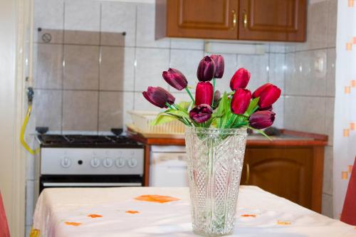 Haus Pelso - main image