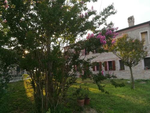 B&B Al Vecchio Noce - Accommodation - Corlo