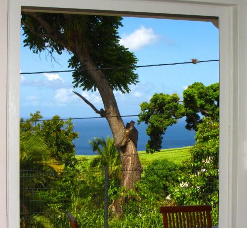Skats, Or bleu-Bungalow volcan Soufriere-Vue sur mer in Basse Terre