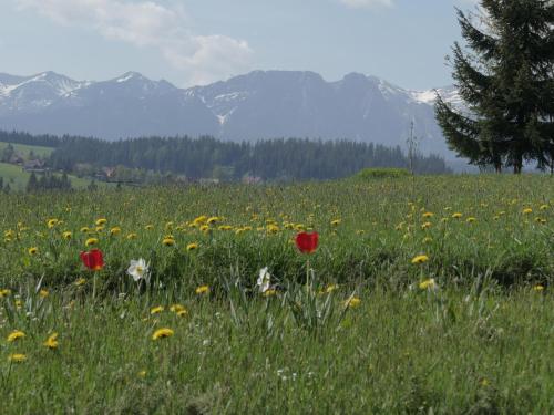 Dom z widokiem na Tatry