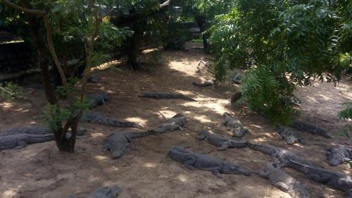 Happy Homestay in Khajuraho