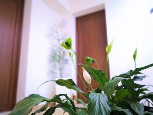 Hotel Perla Gaia - image 4