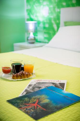 Colors B&b