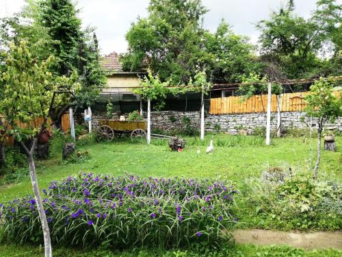 Divna Guest House - image 2